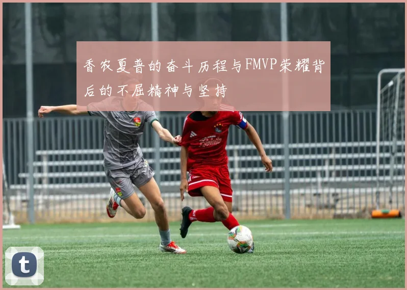 香农夏普的奋斗历程与FMVP荣耀背后的不屈精神与坚持
